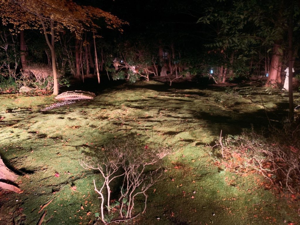 京都　嵐山花灯路　野宮神社 ライトアップ